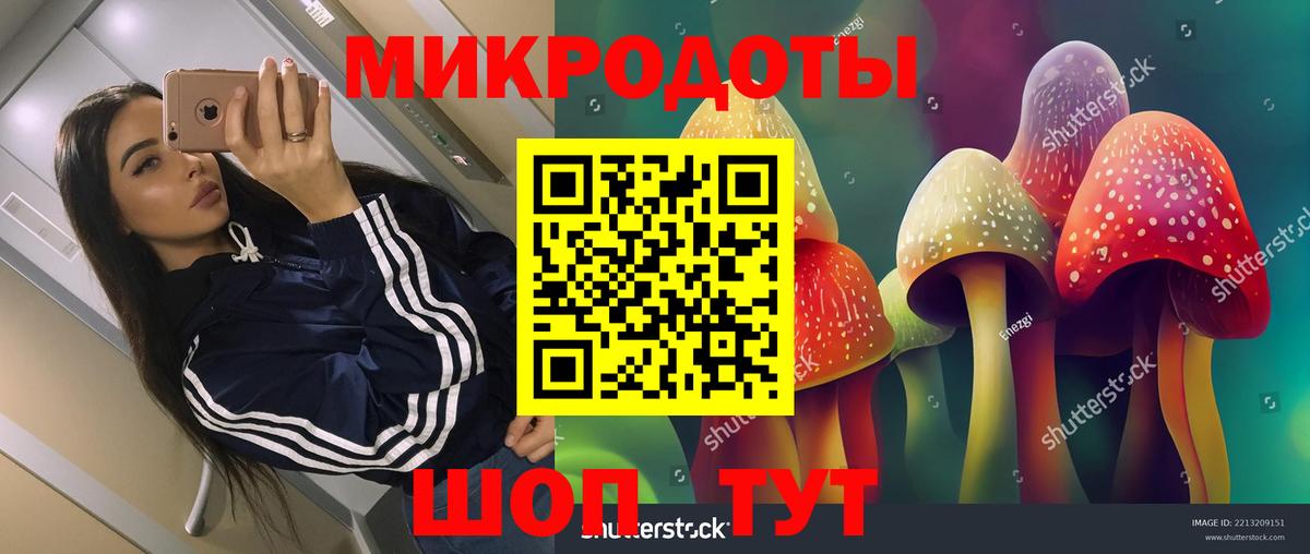 Пенза  Галлюциногенные грибы мухоморы  Псилоцибиновые грибы мицелий  Вход с VPN 